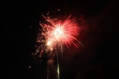 t_IMG_5420.jpg